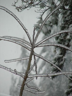 DSC05408a.jpg