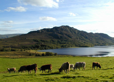 Stac Gorm and Loch Ruthven - P00.60014ct.jpg