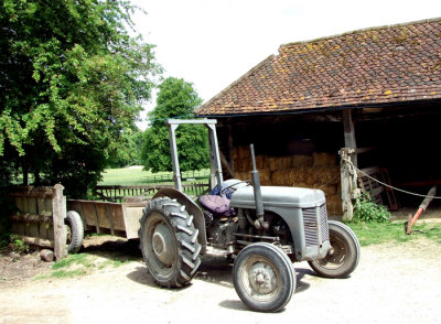 12076.6889crl.jpg