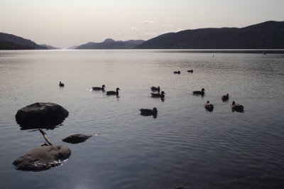September Sunshine Loch Ness - 0800.1025cr.jpg