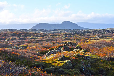 Mountain Scene II