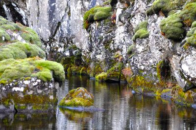 Rock, Moss and Water I