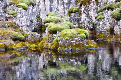 Rock, Moss and Water II