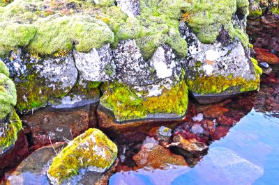 Rock, Moss and Water IV