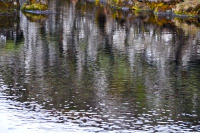 Rock, Moss and Water V