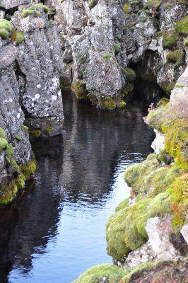 Rock, Moss and Water VII