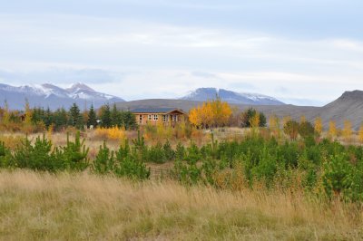 Mountain Hut