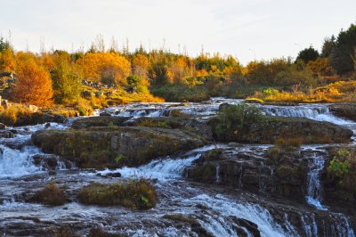 Indian Canyon I