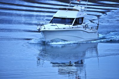 Boat and Bird II