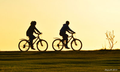 Cycling in the sunset I