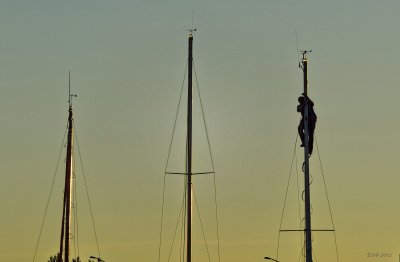 Up the mast...