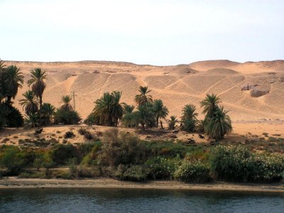 145.Nilo da Aswan.jpg