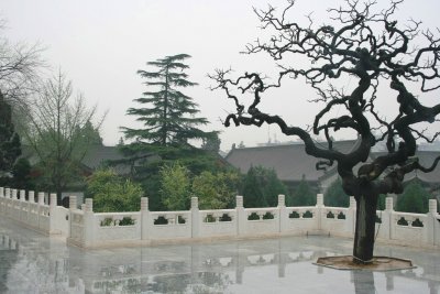 0516. Xi'an - La pagoda dell'oca selvatica.JPG