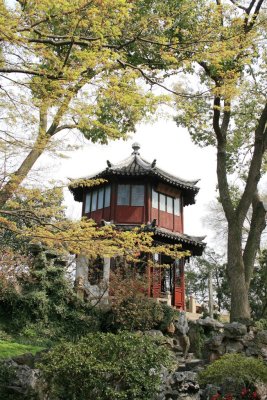 1078. Suzhou - Il giardino dell'amministratore umile.JPG