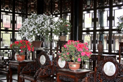 1092. Suzhou - Il giardino dell'amministratore umile.JPG
