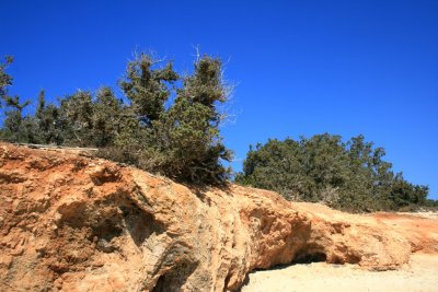 IMG_0087.JPG