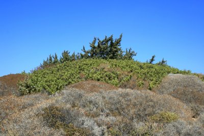 IMG_0116.JPG