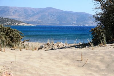 IMG_0121.JPG