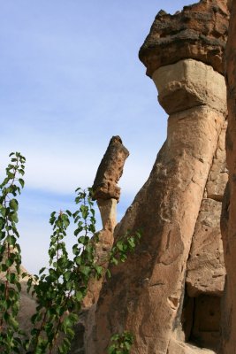 1224 Cappadocia - Pachaba.JPG