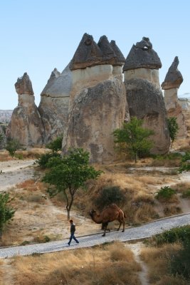 1232 Cappadocia - Pachaba.JPG