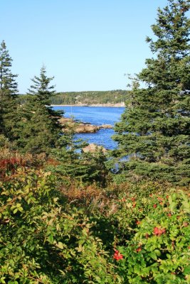 1641 Acadia National Park.JPG