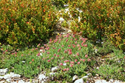 0207 Gorges du Verdon.JPG