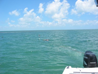 IMG_5233.JPG