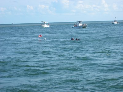 IMG_5234.JPG