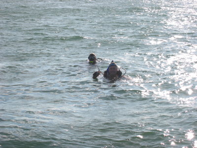 IMG_5237.JPG