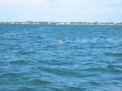 IMG_5249.JPG