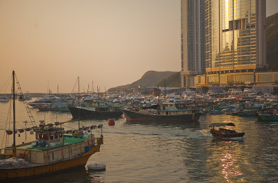 Dawn in the Typhoon Shelter