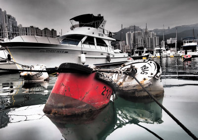 Winter morning in the Typhoon Shelter