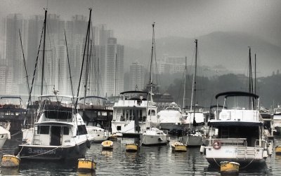 foggy morning in the Harbour