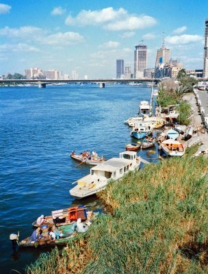 Nile riverbank