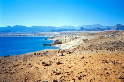 Sinai coast