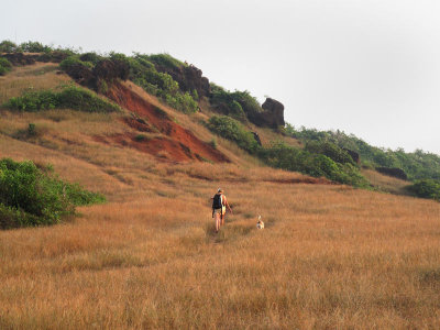 South Anjuna headland