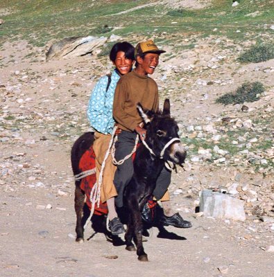 Donkey riding, Korzok