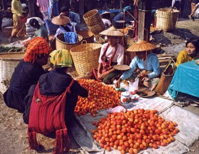 Tomato sellers, Aungban