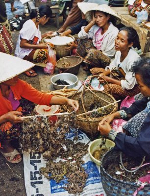 Trading frogs, Pakse