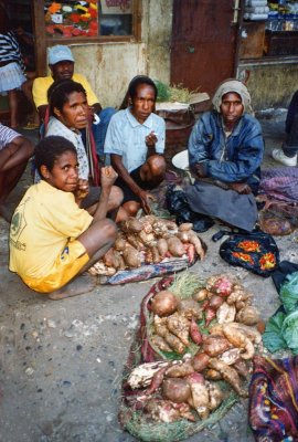 Sweet potatoes, Wamena