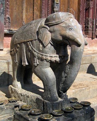 Elephant, Changu Narayan
