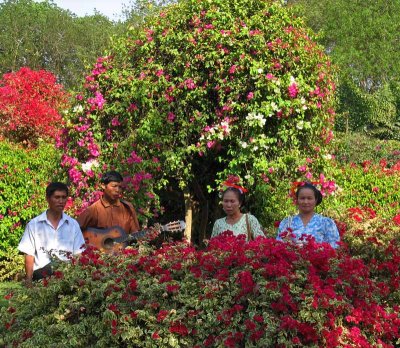 Jinghong botanical garden