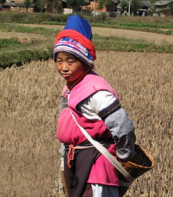 Woman in field