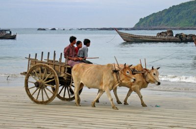 Bullock cart