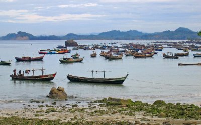 Fishing boats