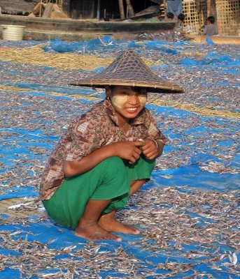 Drying fish