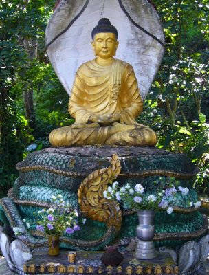 Buddha on coiled cobra