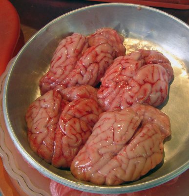 Brains