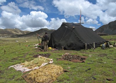 Nomads' tent