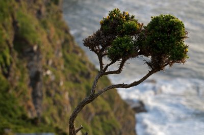 Hanging on